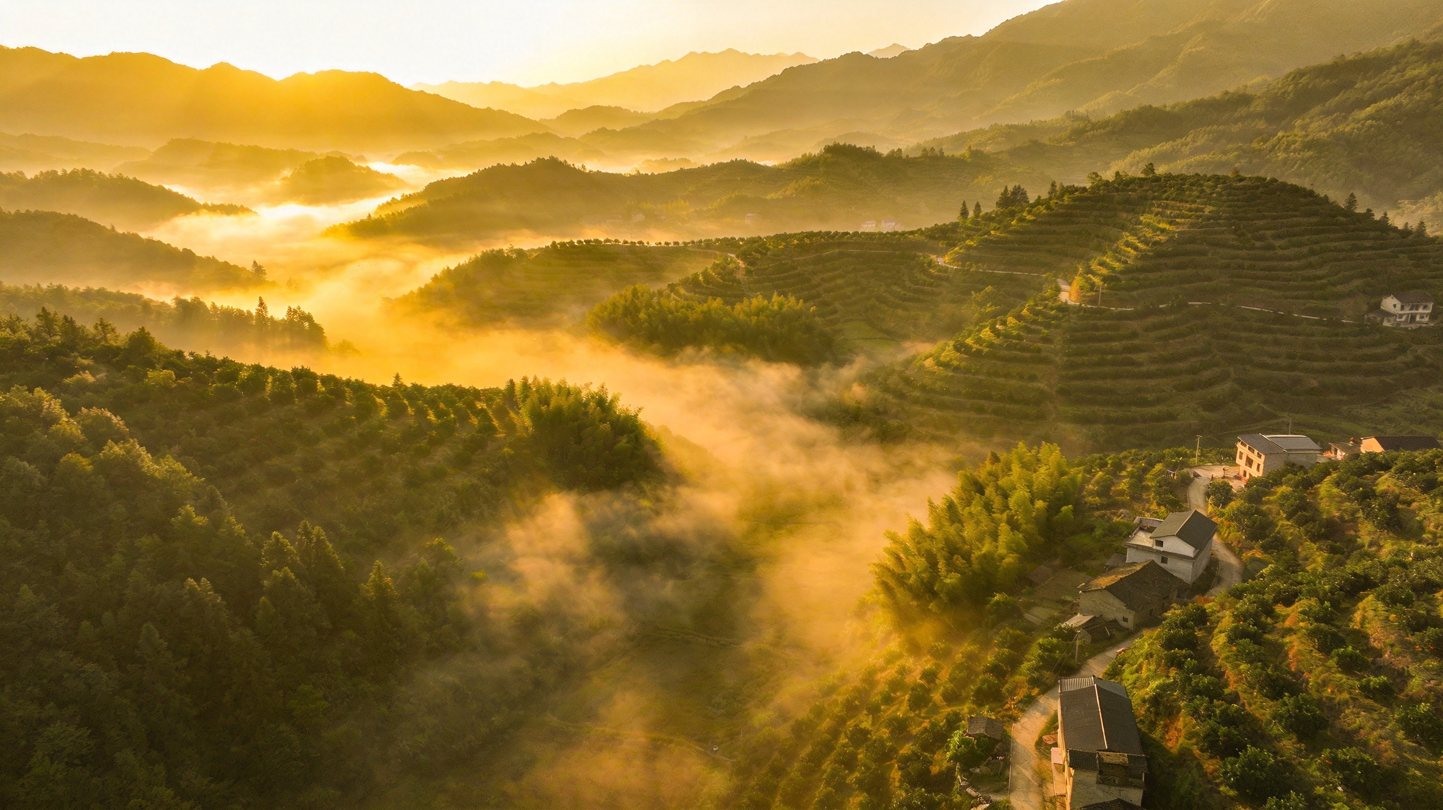 山间晨雾农场全景